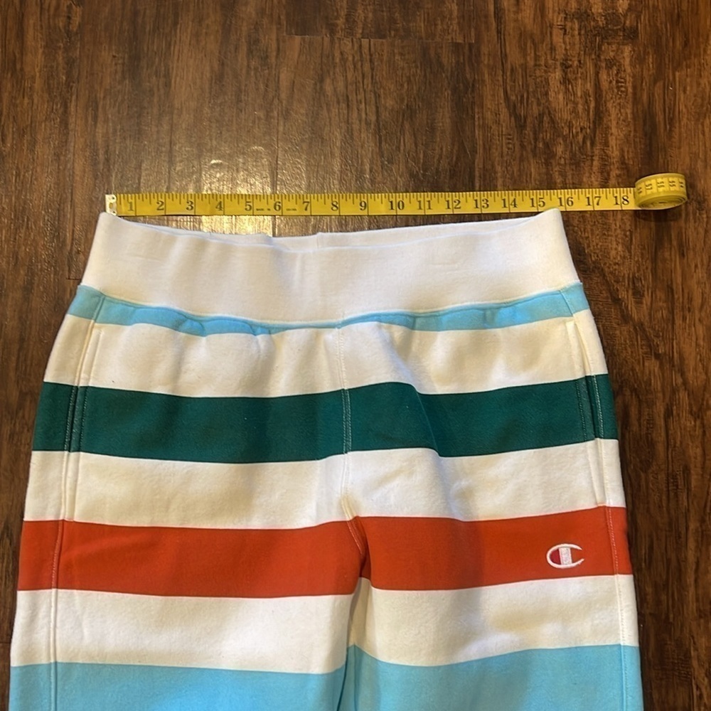 Champion x Urban Outfitters Reverse Weave Striped Joggers - size Large - Picture 6 of 13